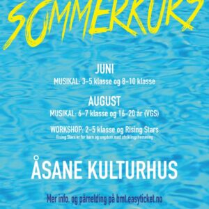 16-20 år/VGS